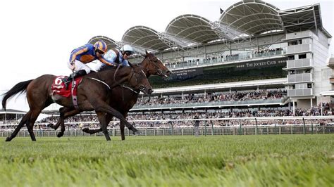 betting on two horses in same race|Horse Racing Betting: Back multiple horses to place in the same .